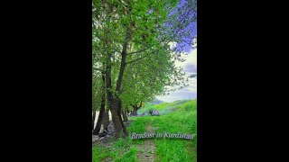 سروشتی کوردستا چەند دیمەنێکی دڵ رفێنی دەڤەری برادۆست Kurdistan Nature in 4K [upl. by Flossi198]