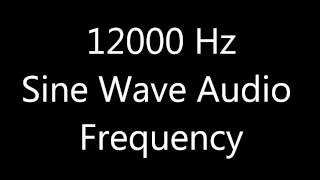 12000 Hz 12 kHz Sine Wave Sound Frequency Tone [upl. by Niwre]