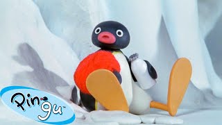 Pingu Gets Lost 🐧  Pingu  Official Channel  Cartoons For Kids [upl. by Urson]