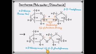 Saccharose [upl. by Wilfred]