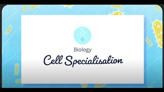 GCSE Biology  Specialised Cells [upl. by Azilef]