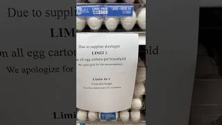 December 11 2024 egg shortage limits and prices 698 dozen eggs 1 egg carton per household eggs [upl. by Erdnad945]