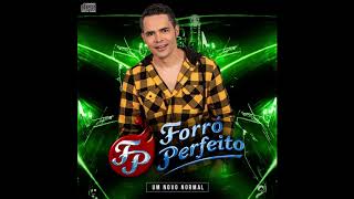 FORRÓ PERFEITO  Um Novo Normal  Cd completo [upl. by Chloras671]