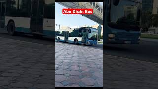 Abu Dhabi Bus Near Corniche Beach shorts [upl. by Ellezaj]