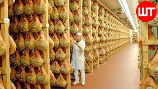 How Ham is Made in Factory  Amazing Meat Processing Technology  Food Factory [upl. by Aihsas]