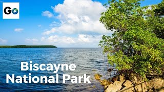 Biscayne National Park in South Florida [upl. by Jacoba]