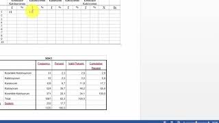 SPSS Betimsel Analiz Frekans Yüzde Ortalama ve Standart Sapma [upl. by Learsiy]