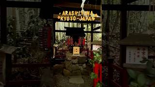 Walking Along the Arashiyama Bamboo Forest shrine arashiyama bamboo shortsviral shortsyoutube [upl. by Hughmanick]