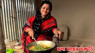 বর্ষায় বিলের তরতাজা মলা মাছের চচ্চড়ি  Panorama Cooking [upl. by Shana]