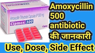 Amoxycillin 500 mg capsule Amoxicillin – Amoxil – Amox [upl. by Pierrette209]