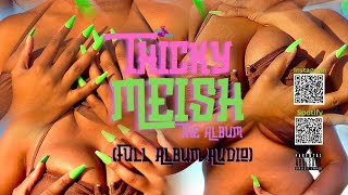 Thicky Meish The Album  Full Length Audio Visual  Moni Meish [upl. by Chon]