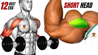 TOP 12 SHORT HEAD BICEPS WORKOUT TO GET WIDE ARMS AT GYM [upl. by Tavish425]