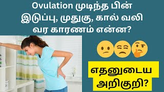 After ovulation why this happens😕  after ovulation stomach and back pain in tamil [upl. by Py]