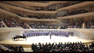 Die Regensburger Domspatzen singen in der Elbphilharmonie  Mittelbayerische Zeitung 23102018 [upl. by Lenahtan682]