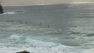 Bronte amp Tama Surf Check Friday March 22nd 2024 900am [upl. by Vivl]