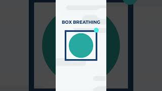 Box Breathing 4444  Paced Breathing  Dialectical Behavioral Therapy DBT  Distress Tolerance [upl. by Jedd]