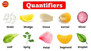 Quantifiers in English  Examples of quantifiers  Learn new English words  Quantifier words [upl. by Hayifas]