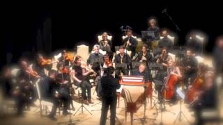 WA Mozart  Concerto K 466  Allegro [upl. by Aisanahta]