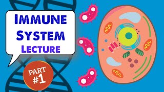 MCAT Biology Lecture Immune System 12 [upl. by Siuoleoj887]