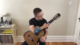 Why Guitarists use Lute Tuning 3rd string to F amp Capos for Renaissance Lute Music [upl. by Chernow931]