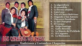 Los Canarios Del Chaco  Éxitos Vol 1 [upl. by Raamal]