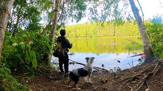 Hiking And Exploring Little Campbell Lake In Anchorage Alaska  Animal activities [upl. by Ruy342]