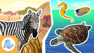 TERRESTRIAL AND AQUATIC HABITATS for Kids🌲💧 Deserts Jungles Rivers Oceans and More 🌄🌊 Compilation [upl. by Adranoel]