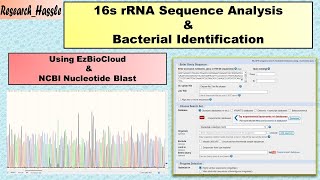 16S rRNA Sequence Analysis and Bacterial Identification [upl. by Suhail]