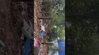 Madurai Nagamalai pudukottai Ngo colony North Facing plot For sale 8 cent more details 9894675665 [upl. by Eiggem]