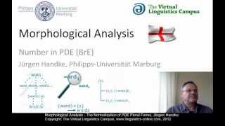 MOR106  Morphological Analysis PDE [upl. by Innor]