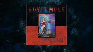 Govt Mule  Hiding Place Visualizer Video [upl. by Notnirt166]