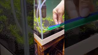 In this video I will Aquarium Setup in 15 Days  Aquascape [upl. by Nylanaj]