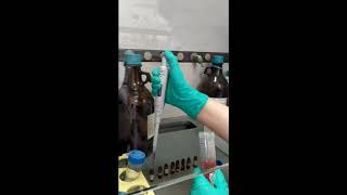 Methanolic Extract Step 2 [upl. by Taka58]