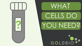 How to Choose the Right Competent Cells for your Experiment [upl. by Palecek889]