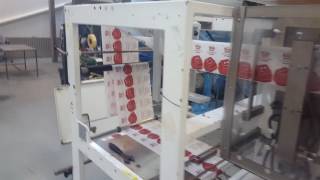 Bossar B2500 Sachet Machine [upl. by Orji]