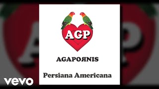 Agapornis  Persiana Americana Pseudo Video [upl. by Skye827]