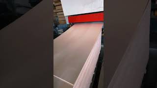 Sanding plywood machine plywoodmachinery woodworking plywood [upl. by Dedie]