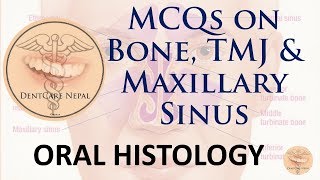 MCQs on Bone TMJ and Maxillary Sinus [upl. by Oeram362]