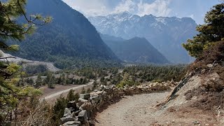 Annapurna I quiet and peaceful walk [upl. by Nadaba]