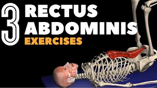 Target Your Rectus Abdominis with 3 Ab Exercises [upl. by Elegna]