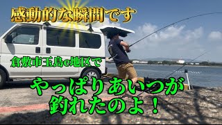 【釣りバカ日誌】玉島e地区夏場の釣りは絶好調！岡山県 [upl. by Devon]