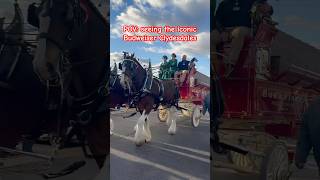 BUDWEISER CLYDESDALES TOUR 🍻🐴 Knoxville Tennessee stop christmas2024 [upl. by Yemar]