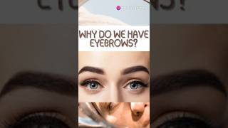 Mindblowing fun factslWhy Do We Have Eyebrows 🤔  Fun Facts About EyebrowsEyebrows FunFacts [upl. by Pennebaker]