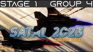 DCS  SATAL23  Stage 1  Group 4 [upl. by Anael]