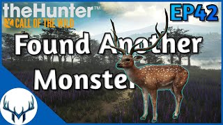 Fresh Start Ep42  theHunter Call of the Wild [upl. by Wootten684]