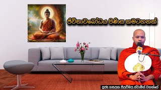 ජිවිතාවබෝධය පිණිස කමටහනක් 254 REV HASALAKA SEELAWIMALA THERO [upl. by Nonie]