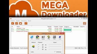 Como resolver ERRO no Megadownloader v17 Totalmente Funcional [upl. by Iatnahs919]