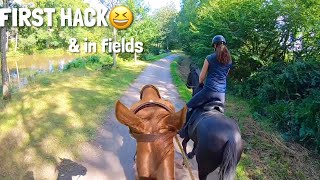 FIRST hack on new loan horse  Fanta  equinemollie [upl. by Querida]