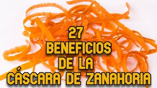 27 Beneficio de la Cáscara de Zanahoria [upl. by Ahsa157]