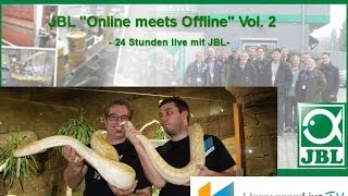 24 Stunden live mit JBL  Blick hinter die Kulissen  aufTour  Meerwasser Live TV [upl. by Lenes936]